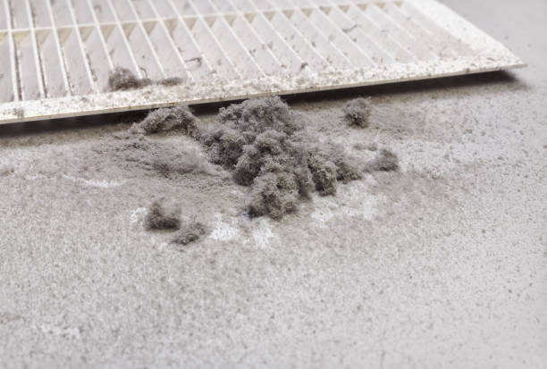 Best Duct Cleaning for Homes  in Shiprock, NM